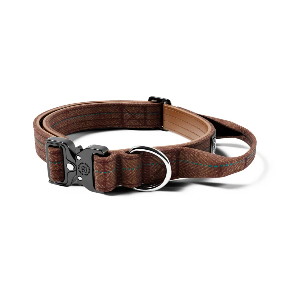 BullyBillows obojek Combat classic 2,5 cm - hnědá