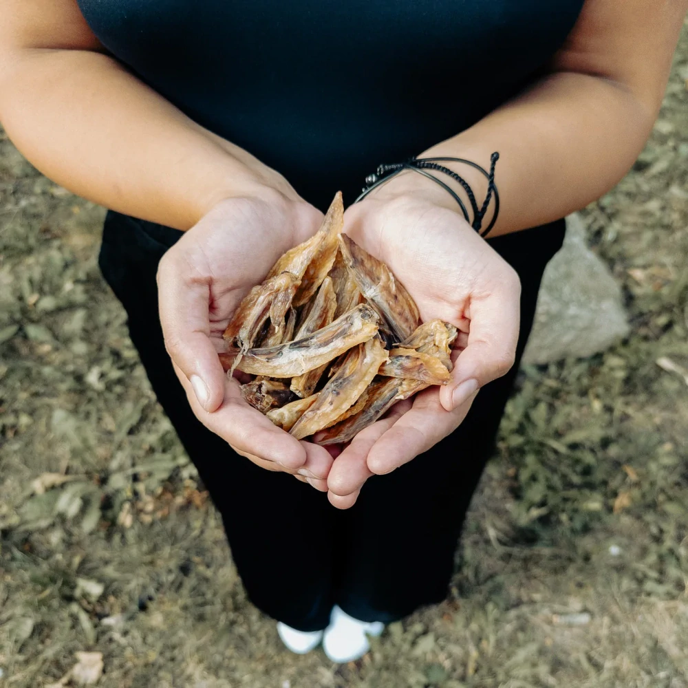 100% křupavá křidélka Čumák, sušená – 100 g