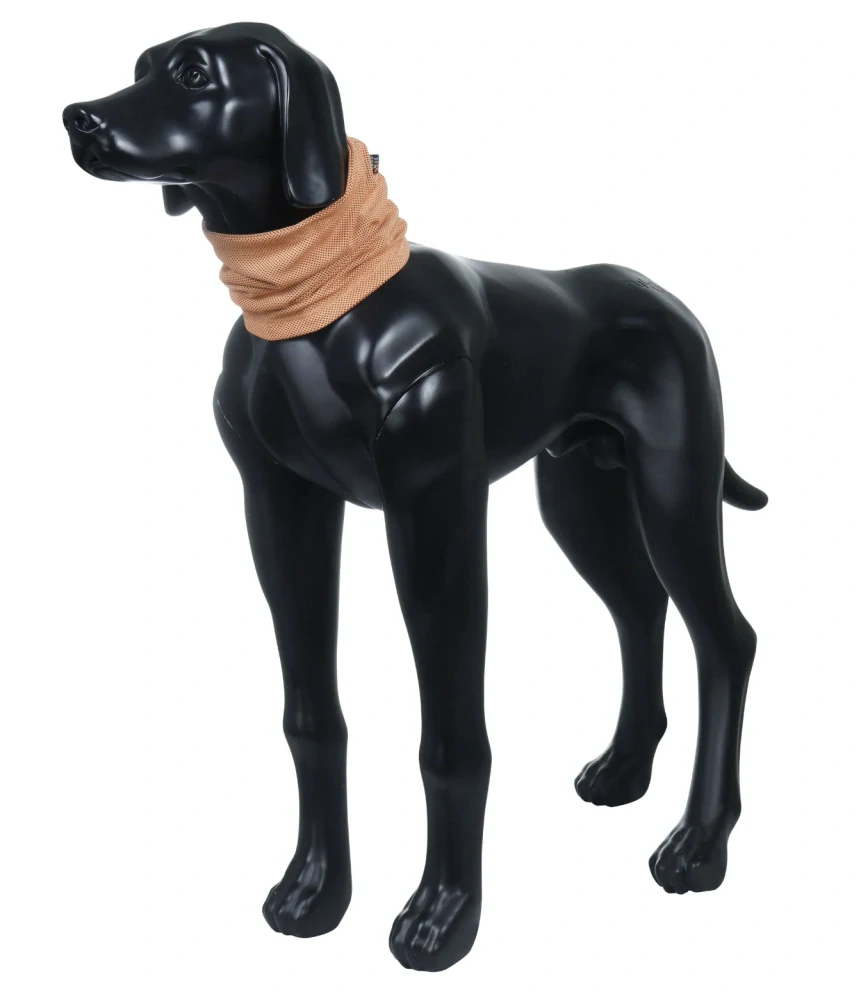 Chladicí šátek pro psa Rukka