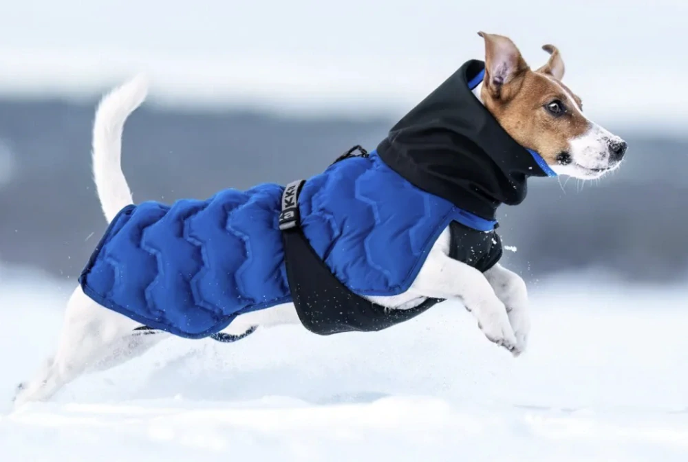 Bunda pro psy Rukka Discovery 3v1 