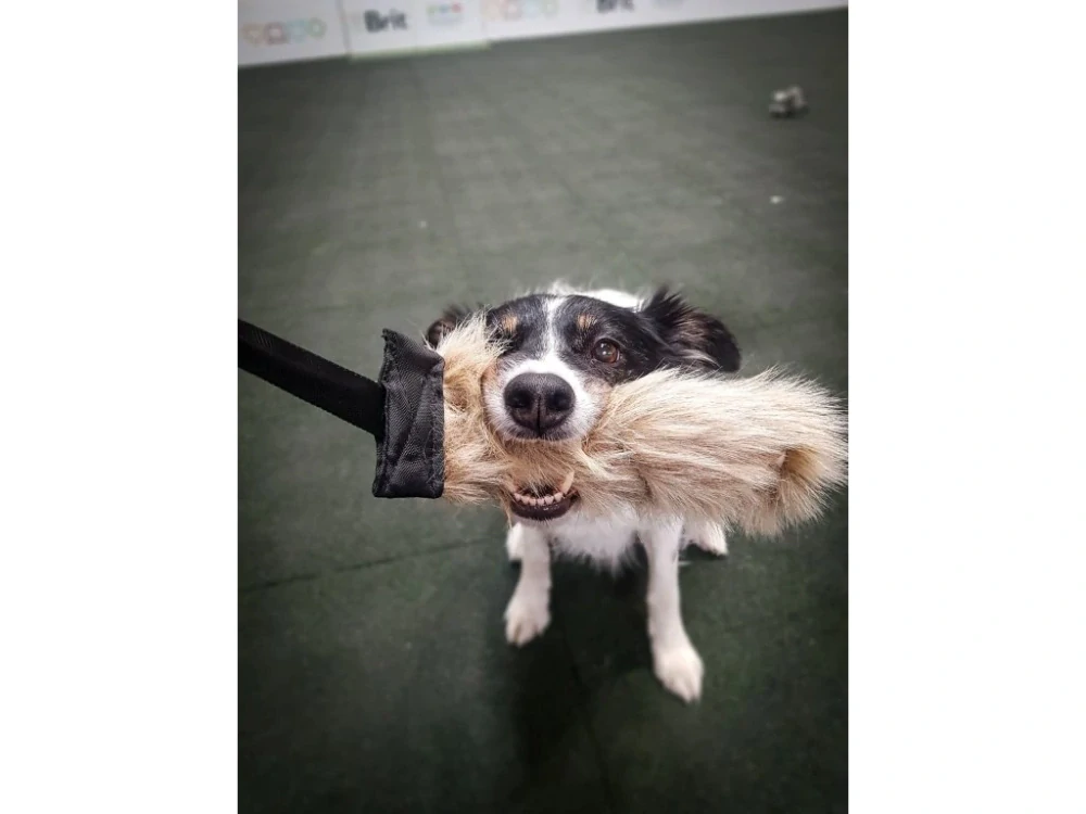 Přetahovadlo pro psa – mop dlouhý Rukka