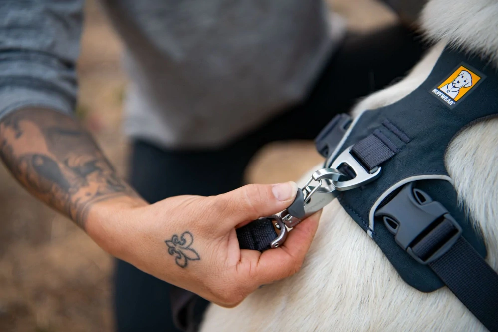 Postroj Ruffwear – Front Range – Basalt Gray