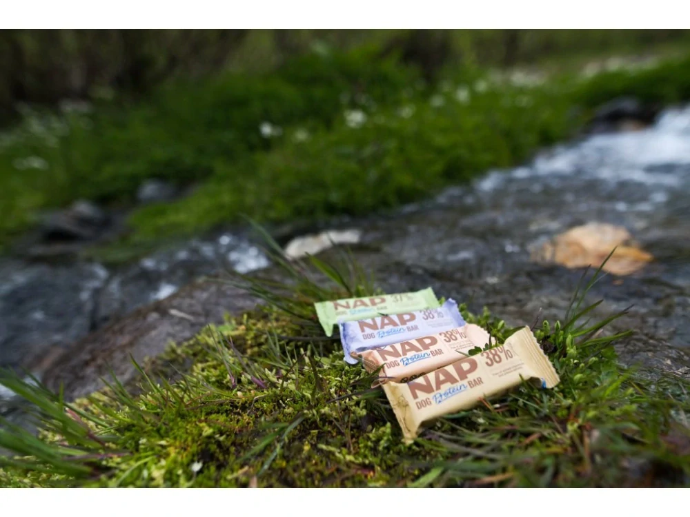 NAP Psí proteinová tyčinka – rybí