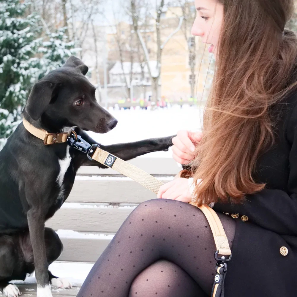 BullyBillows vodítko Combat Mini - 1,2m, černé/žluté