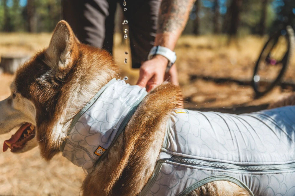 Chladící šátek Ruffwear SWAMP COOLER