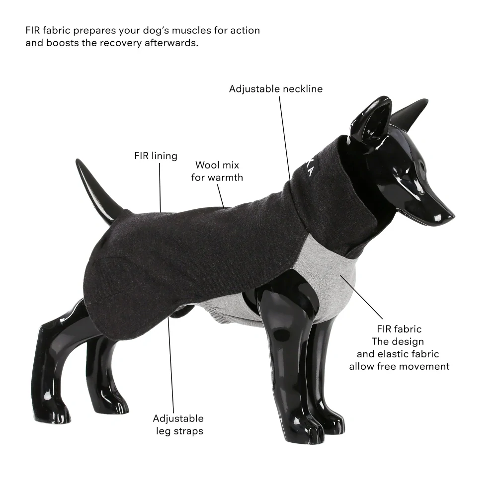 Celoroční psí mikina PAIKKA Recovery