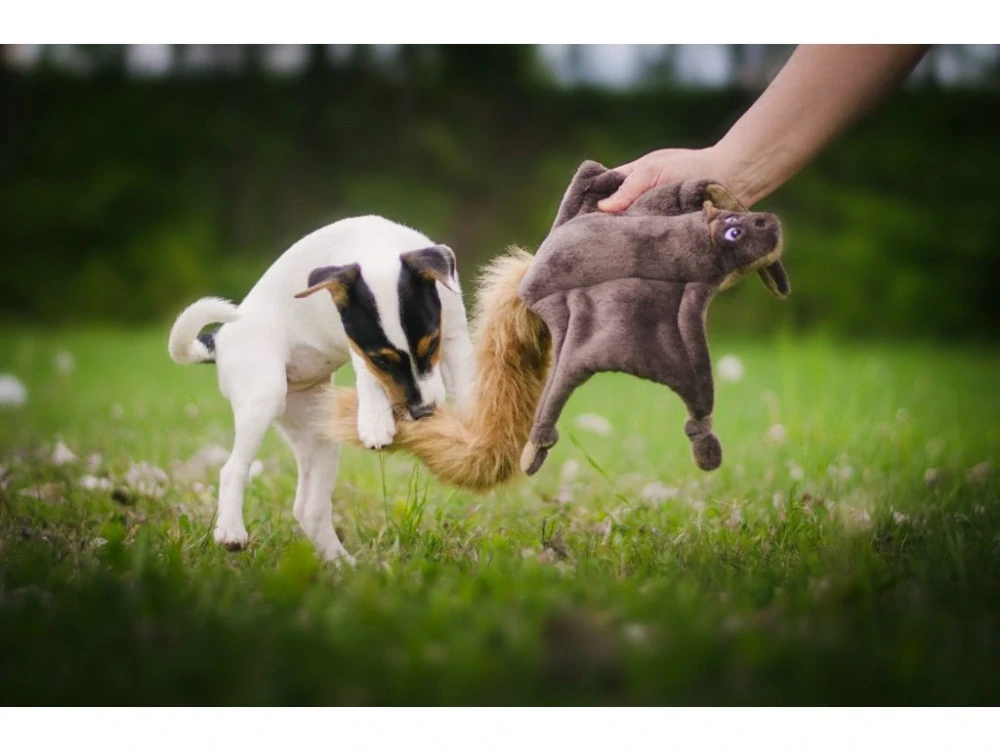 Plyšová hračka pro psa – poletucha, hnědá