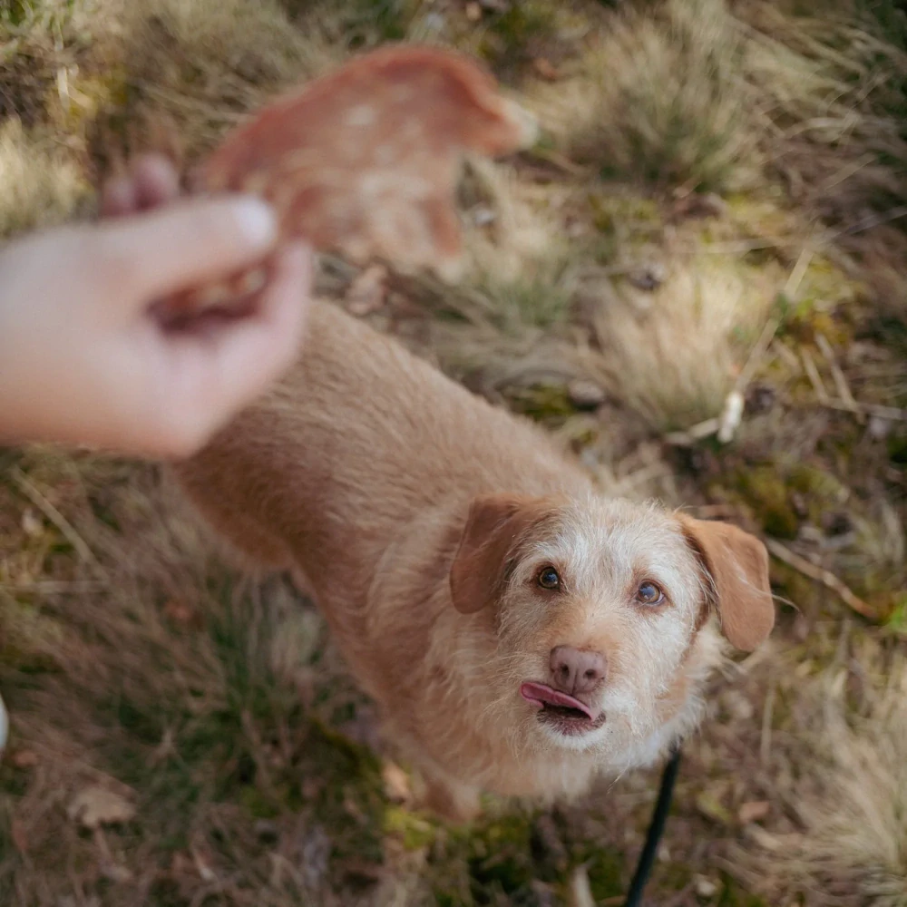 100% krůtí prso Čumák, sušené – 100 g