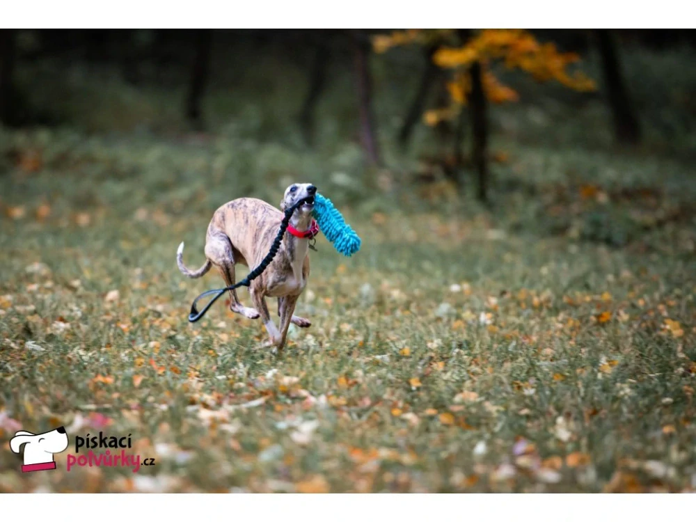 Přetahovadlo pro psa – mop s amortizérem