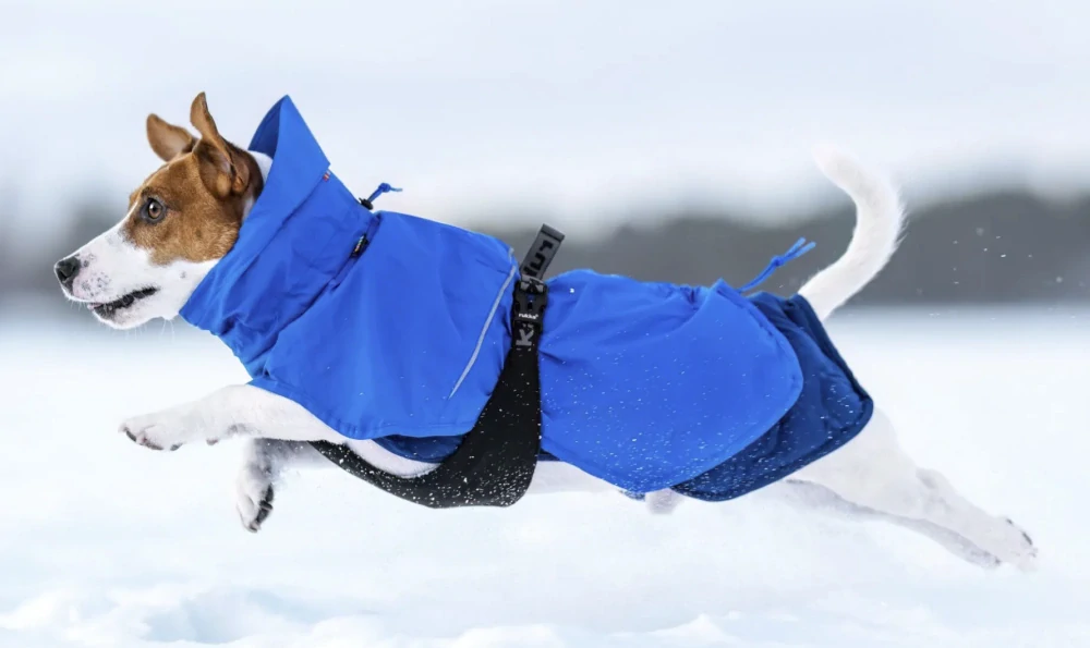 Bunda pro psy Rukka Discovery 3v1 