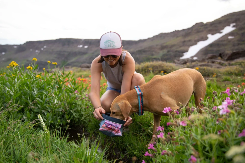 Psí miska Ruffwear Quencher Bowl - Spring Mountains