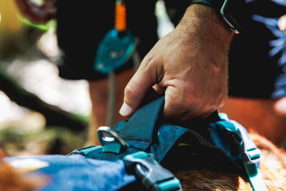 Postroj Ruffwear – Flagline – Basalt Gray