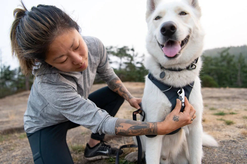 Postroj Ruffwear – Front Range – Basalt Gray