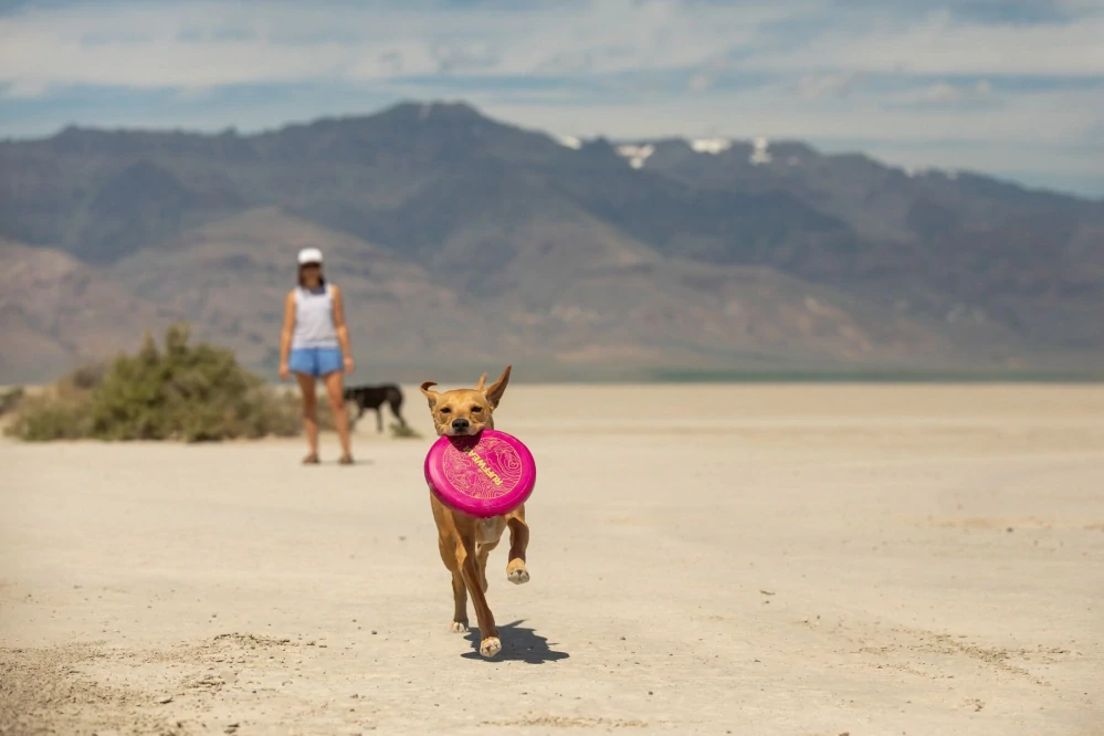 Ruffwear – létací disk Camp Flyer™ – oranžový