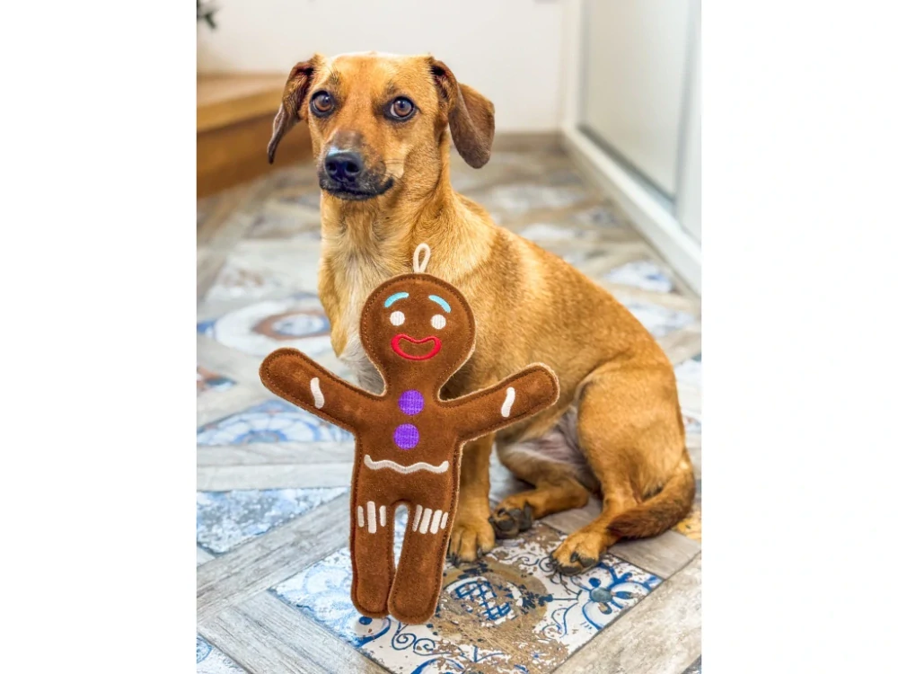 PafDog® pavouk Pajky z kůže a juty - 38 cm