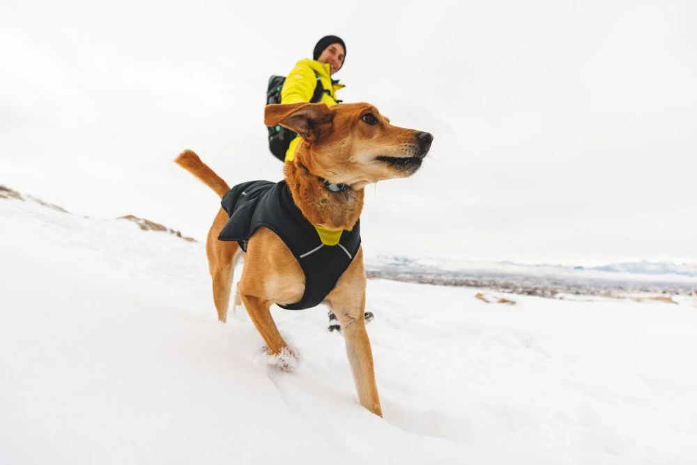 Bunda Ruffwear QUINZEE™