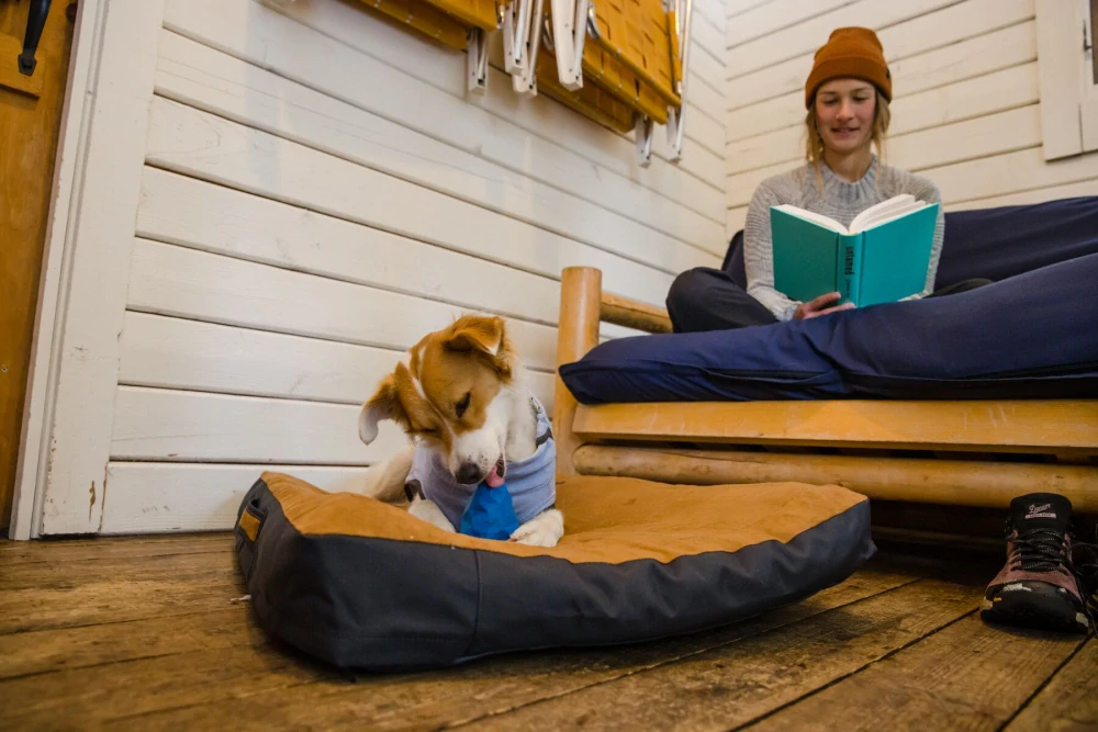 Hračka Ruffwear - GNAWT-A-CONE™