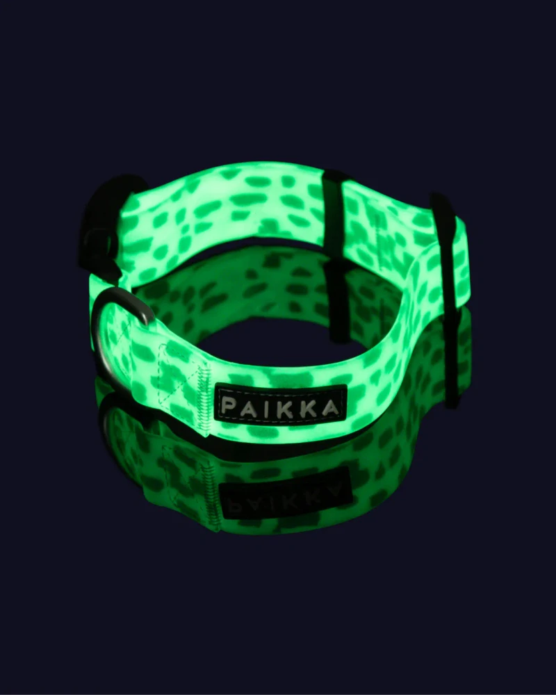 Svíticí obojek Paikka 