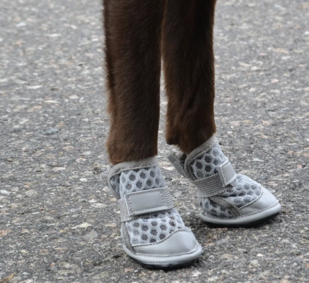 Letní botičky pro psy Rukka Light - 4ks