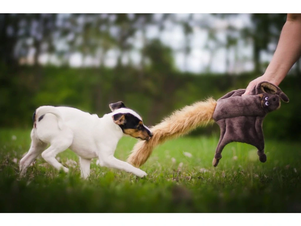 Plyšová hračka pro psa – poletucha, hnědá