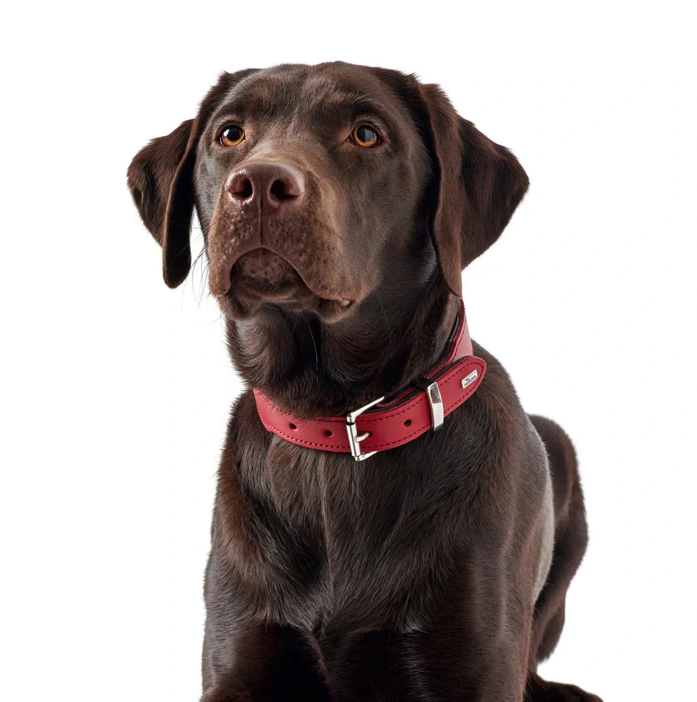 Basic obojek Hunter - červená