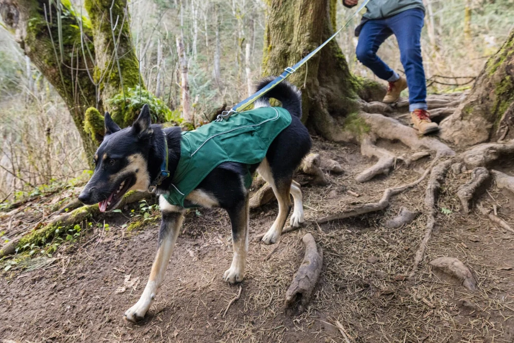 Bunda pro psy Ruffwear FUSE