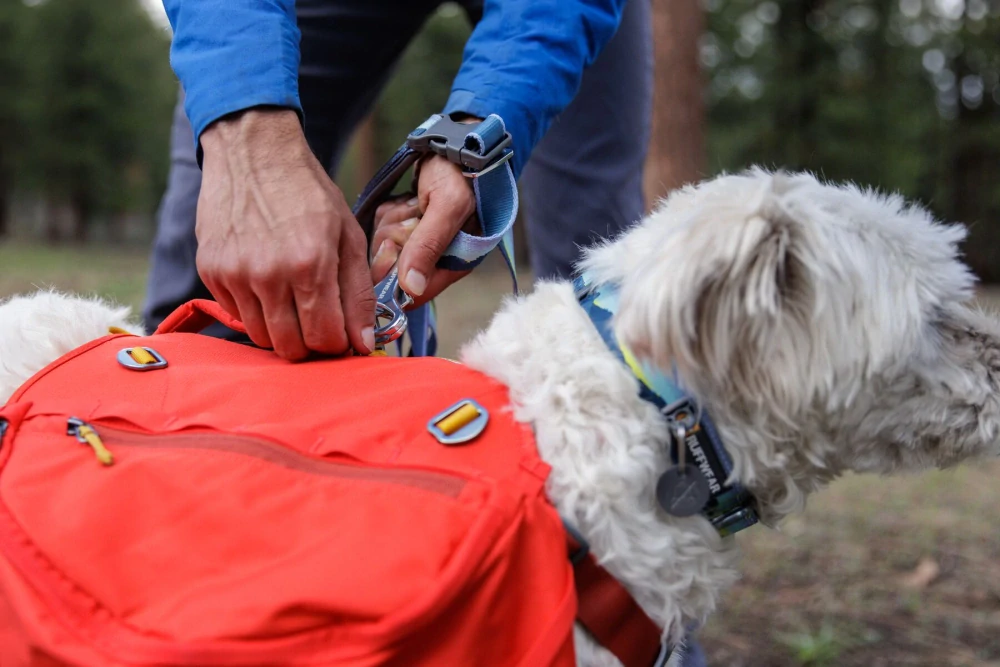 Vodítko Ruffwear CRAG - Alpine Dawn