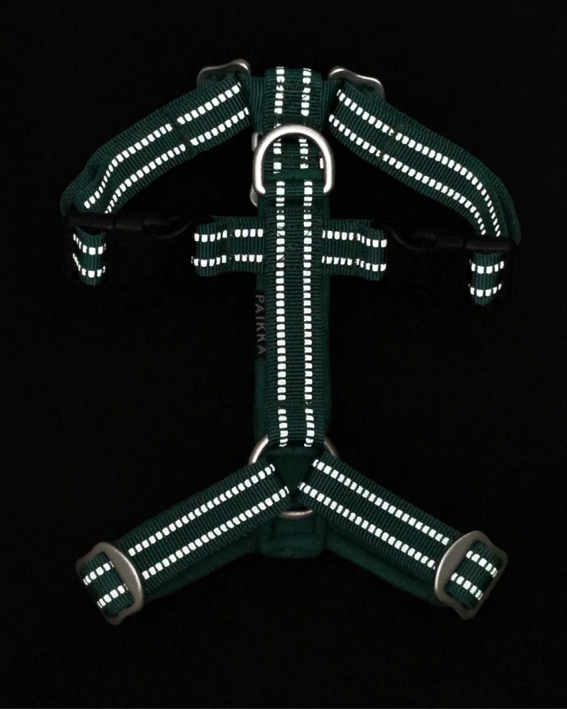 Reflexní postroj Paikka Easy - emerald