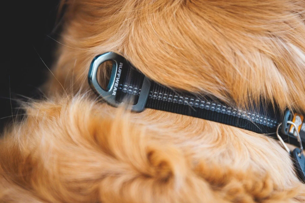 Obojek Ruffwear Top rope - šedý