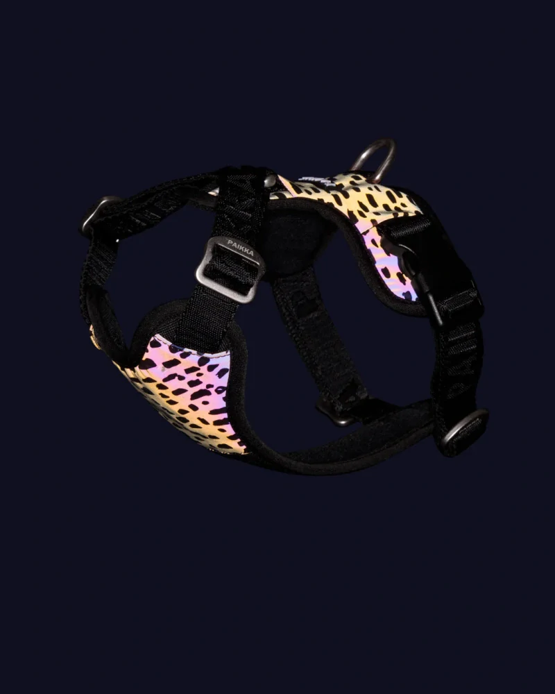 Reflexní postroj Paikka Harness 2.0