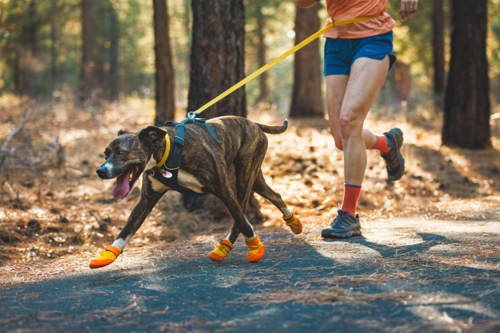 Botičky pro psy Ruffwear SUMMIT TREX