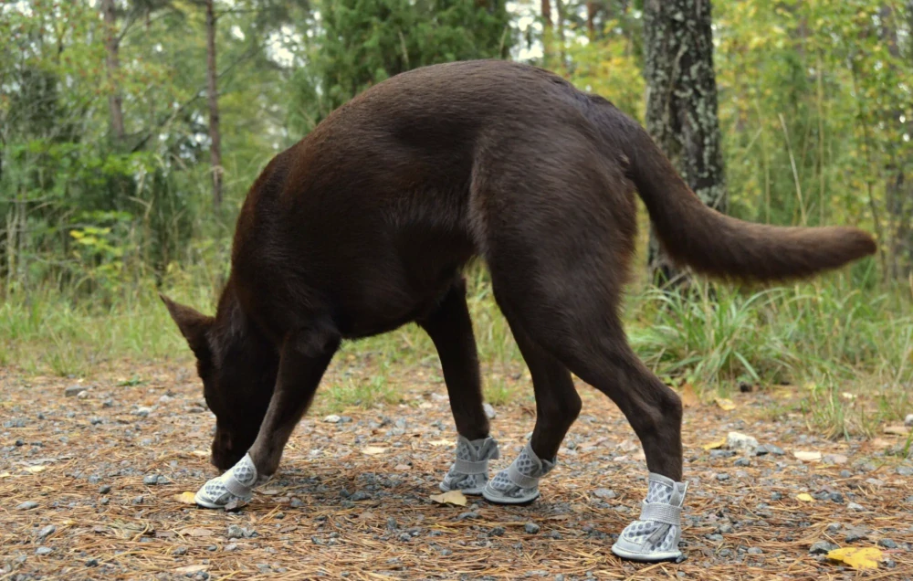 Letní botičky pro psy Rukka Light - 4ks