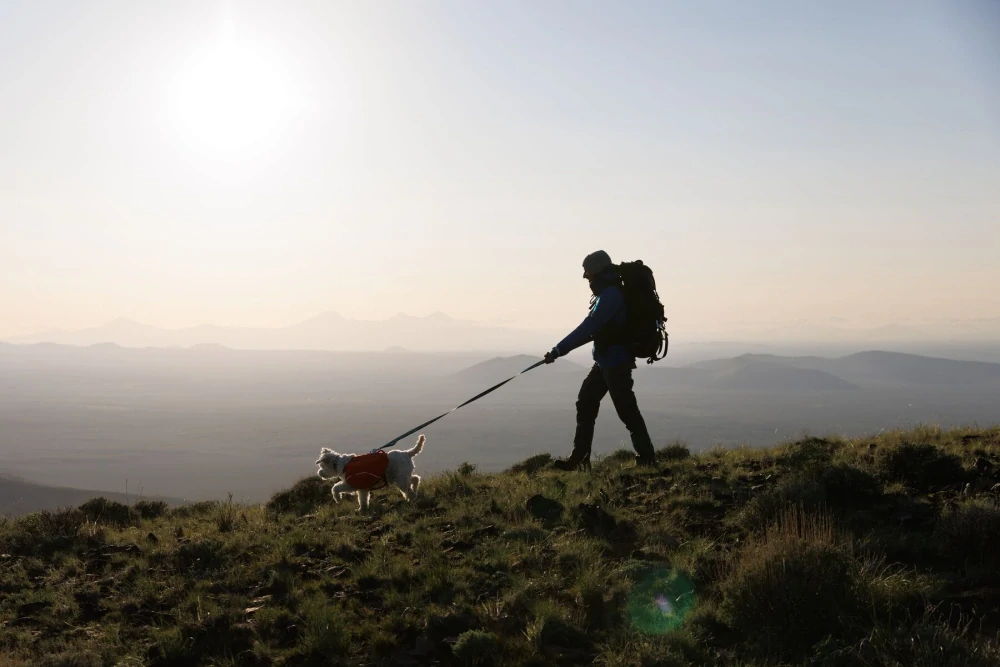 Obojek Ruffwear CRAG - Alpine Dusk