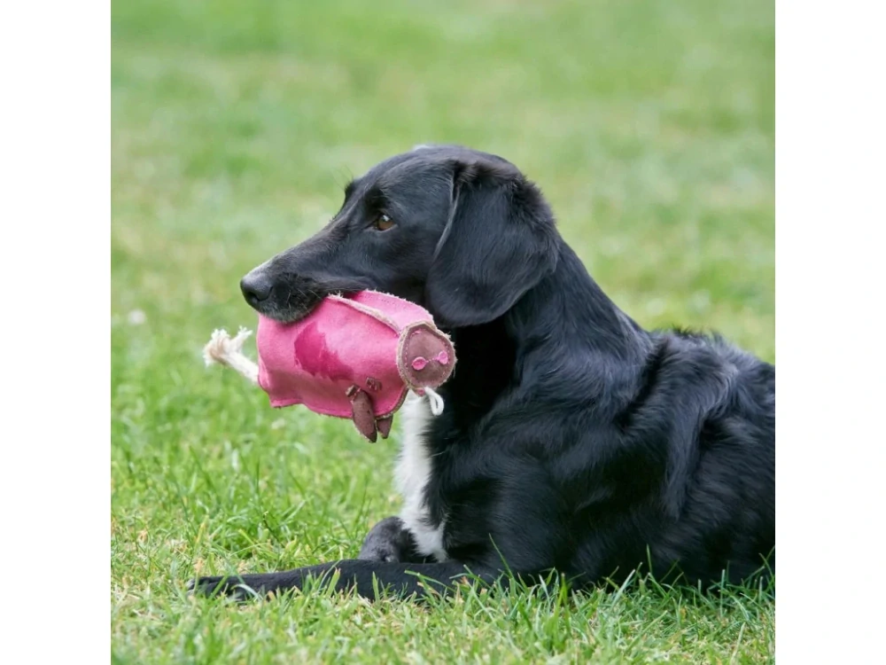 PafDog® Prasátko Pinky z kůže a juty - 25 cm