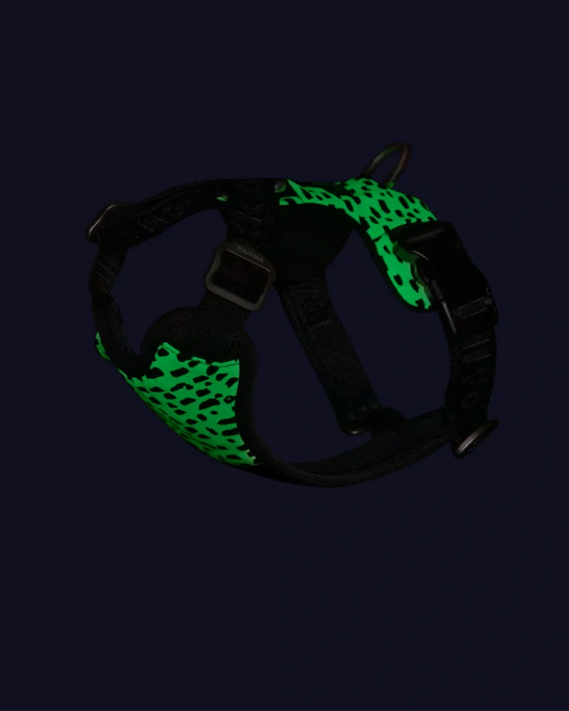 Reflexní postroj Paikka Harness 2.0