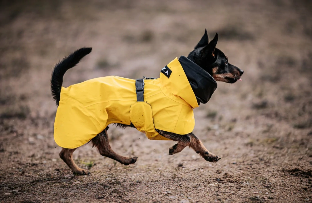 Pláštěnka Paikka Visibility