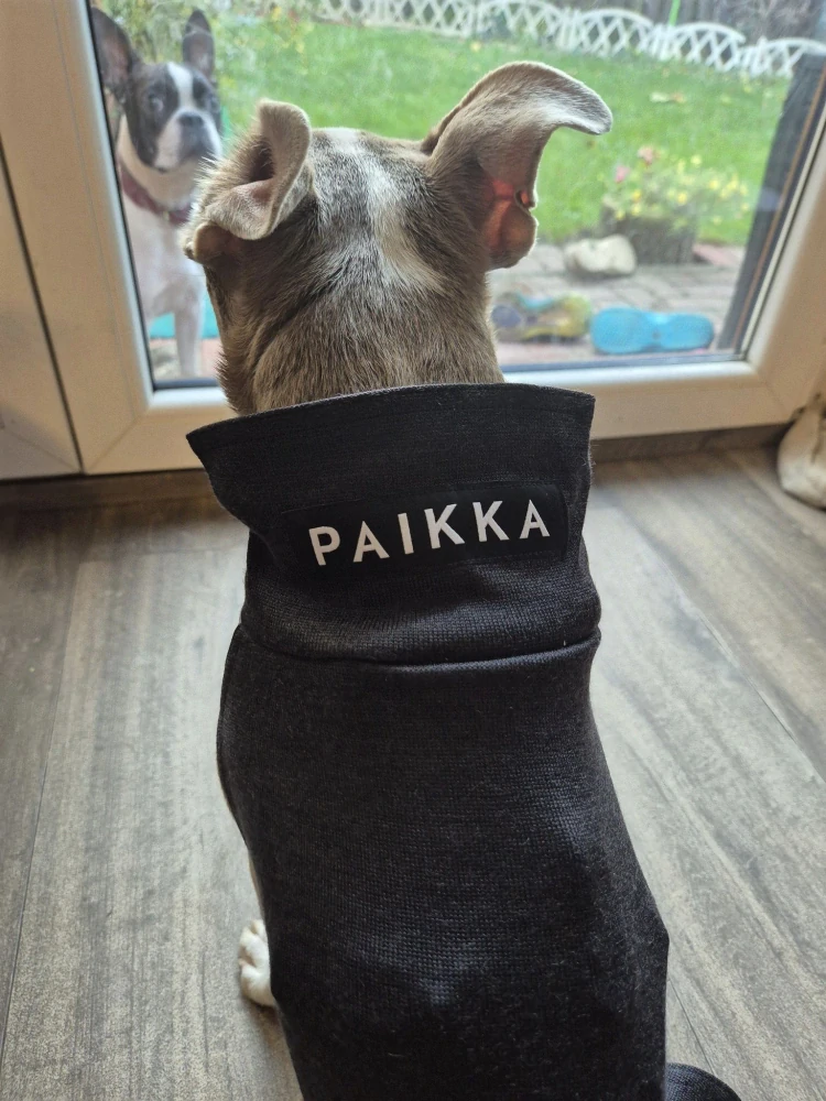 Celoroční psí mikina PAIKKA Recovery