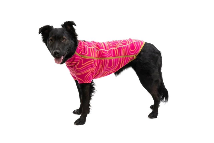 Svetr Ruffwear HEMP HOUND™ - modry