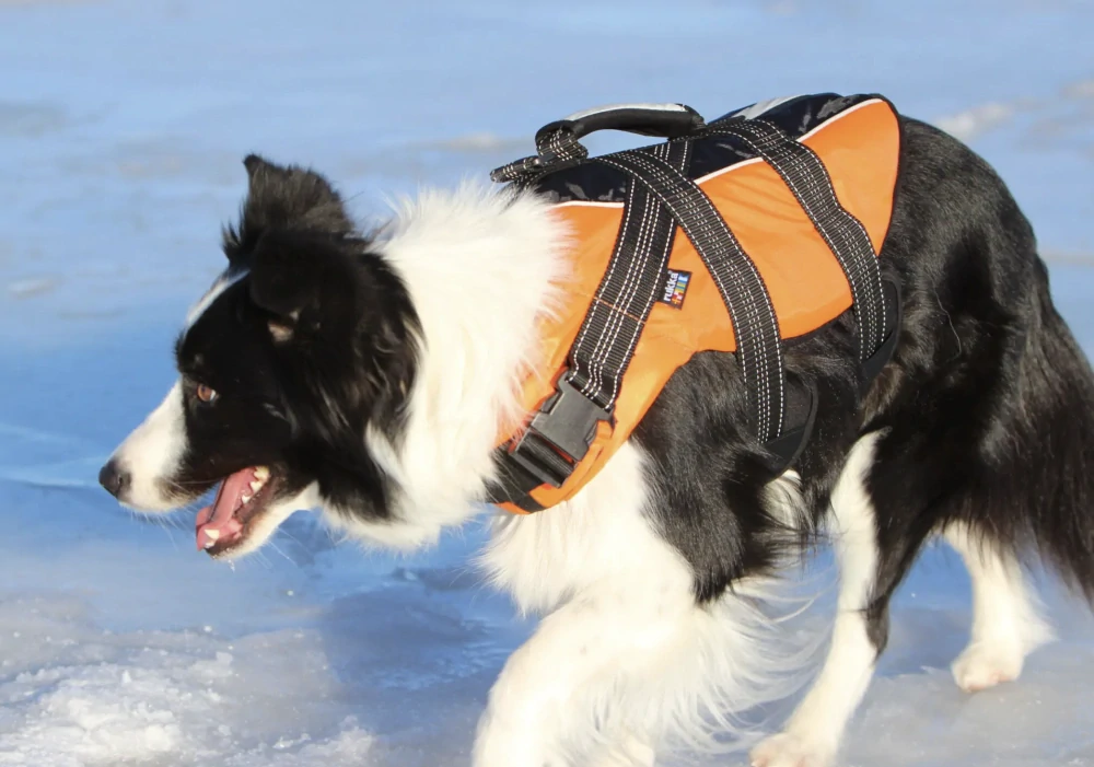 Plovací vesta pro psy Rukka Safety