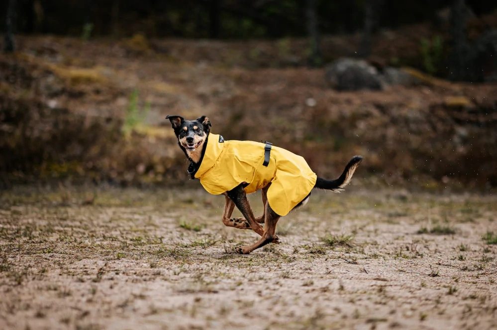 Pláštěnka Paikka Visibility pro psy