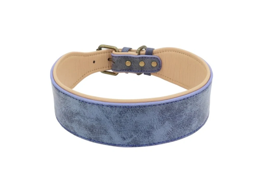 Široký kožený obojek pro velké psy