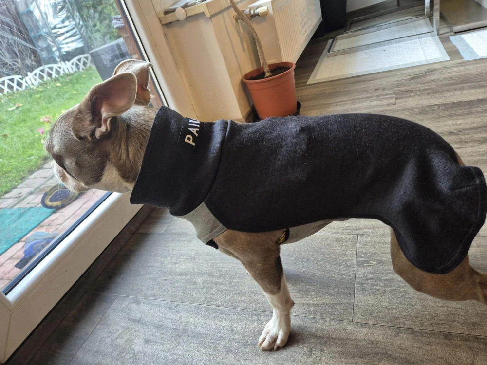 Celoroční psí mikina PAIKKA Recovery