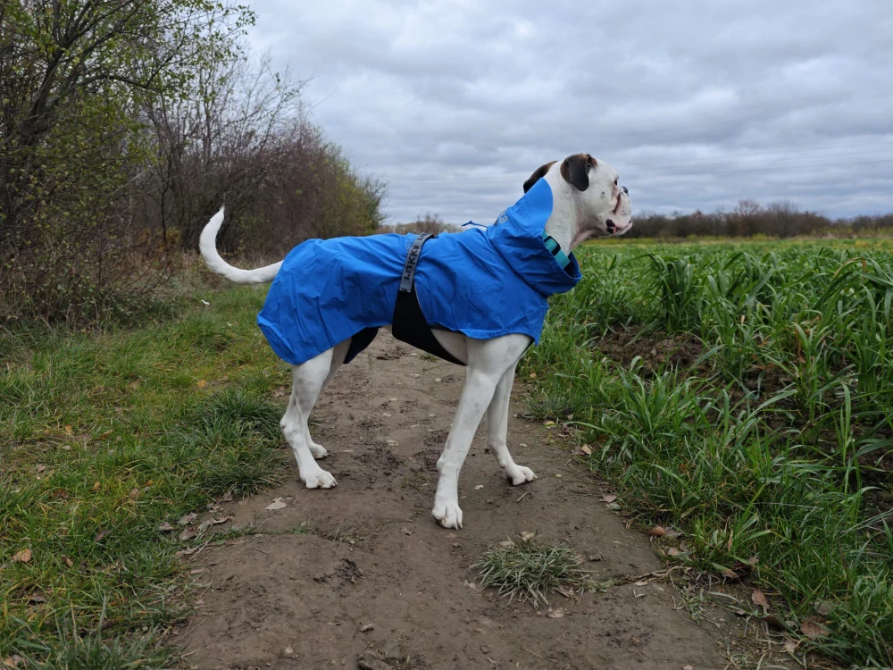 Bunda pro psy Rukka Discovery 3v1 