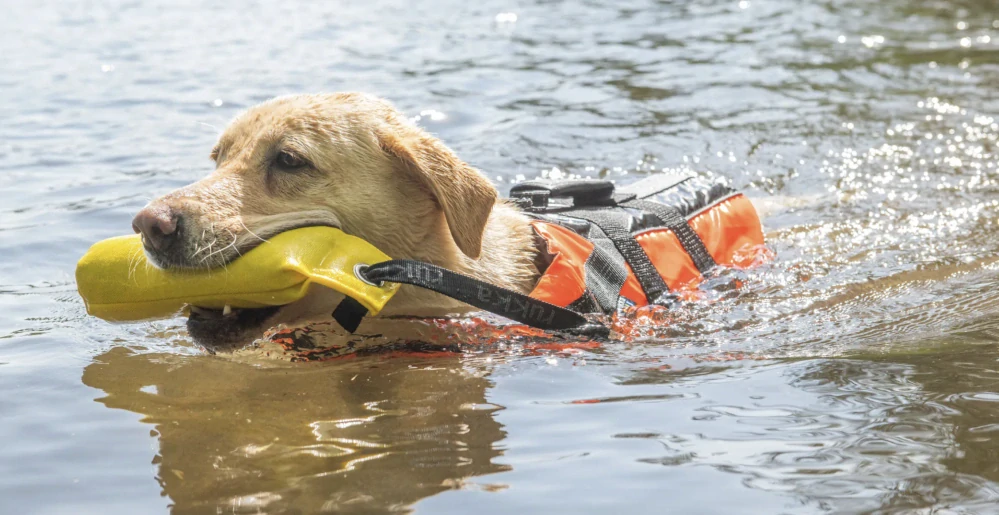 Plovací vesta pro psy Rukka Safety