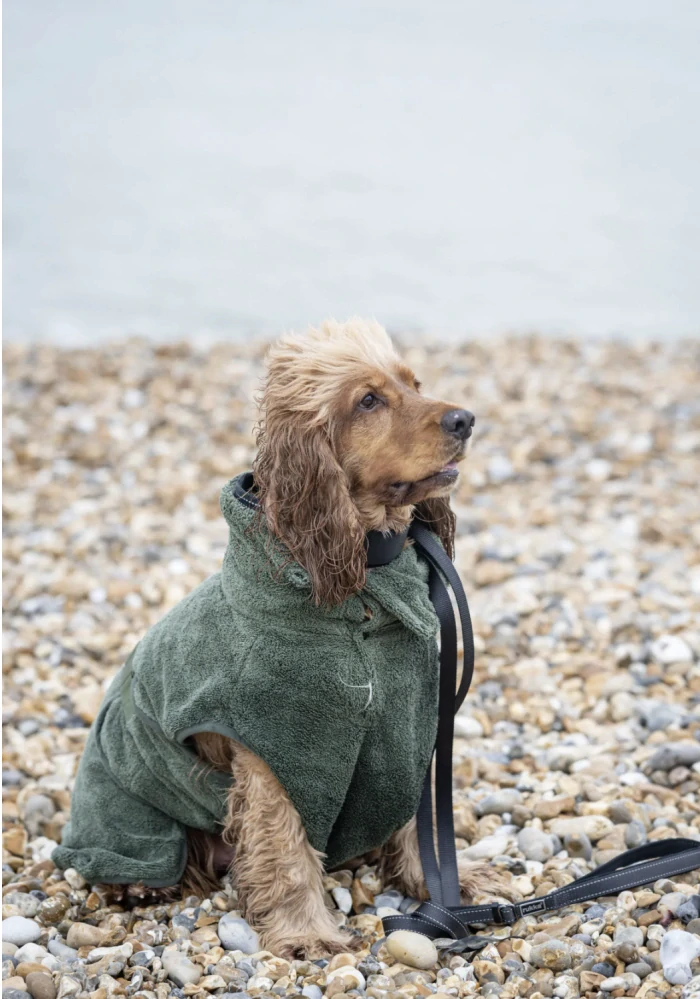 Psí župan Rukka – olivová