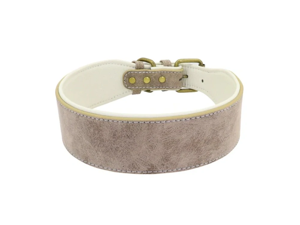 Široký kožený obojek pro velké psy