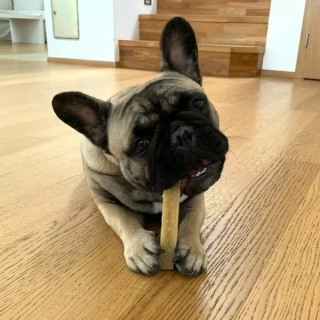 Dentální pamlsek pro psy Dogsie – Himalájská tyčka