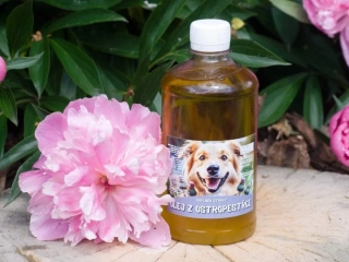Olej z ostropestřce pro psy – 500 ml