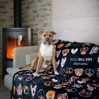 BullyBillows - Luxusní deka pro psy i lidi