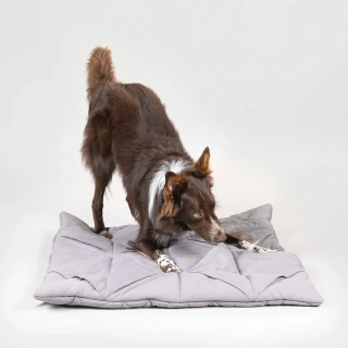 Čmuchací kobereček Paikka - šedý